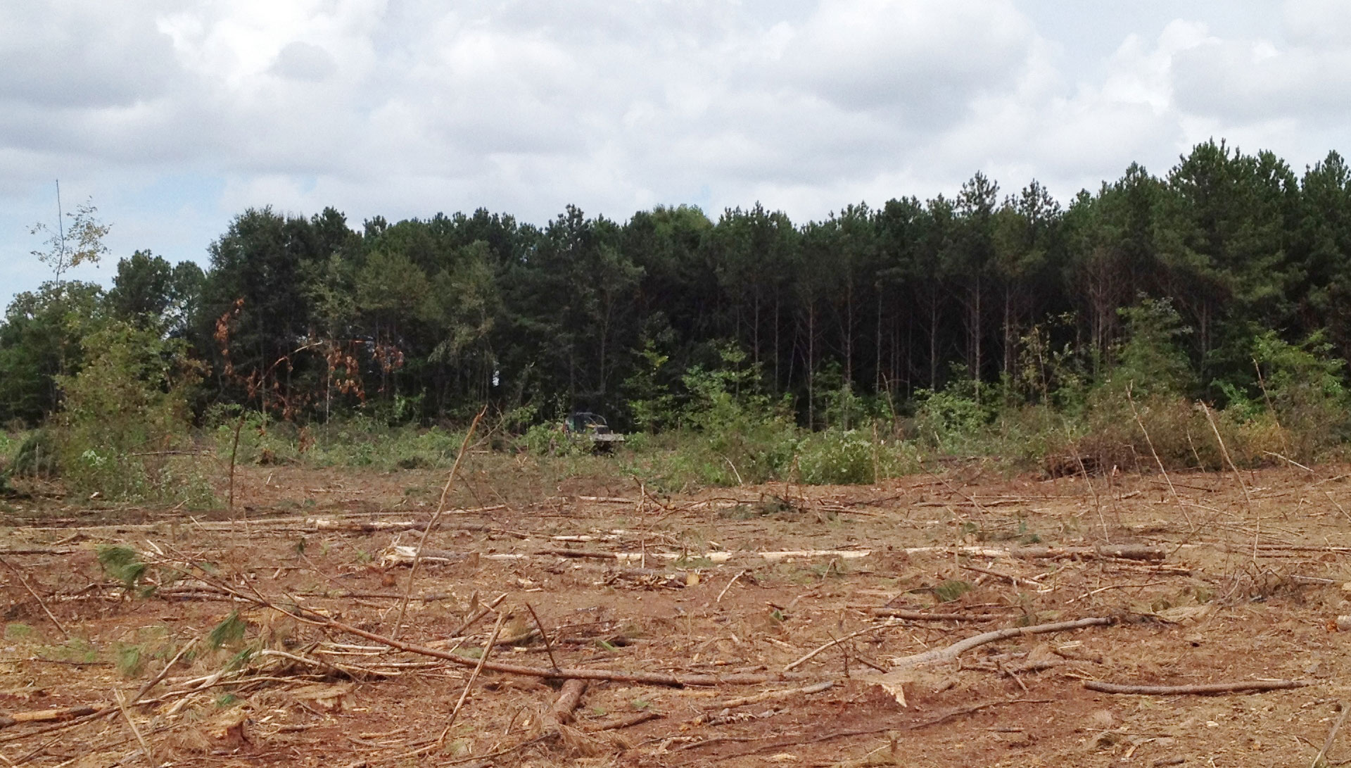 georgia-timber-harvesting-pine-and-hardwood-thinning-and-clear-cut